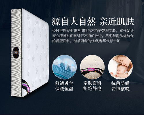 吉斯乳膠床墊席夢(mèng)思椰棕墊加厚保暖雙人1.8m彈簧記憶棉軟硬兩用價(jià)格,圖片,參數(shù) 家具臥室家具床墊 北京房天下家居裝修網(wǎng)